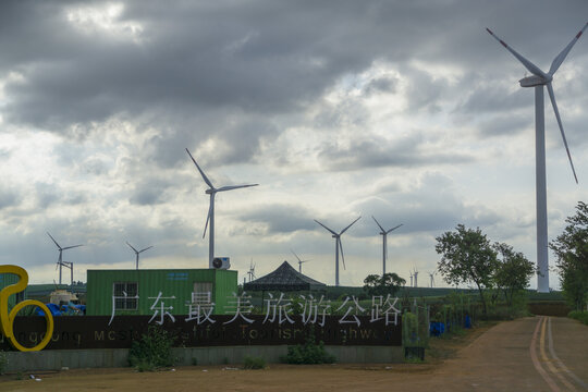 广东省湛江市徐闻县菠萝的海