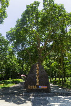 海口市火山口国家地质公园