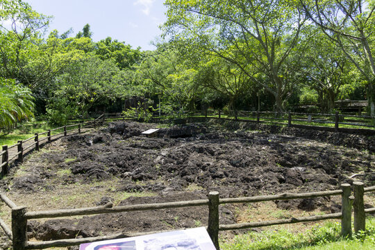 海口市火山口国家地质公园