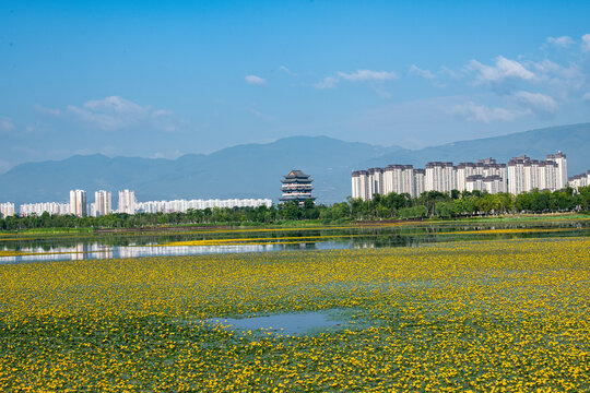 保山清华湖