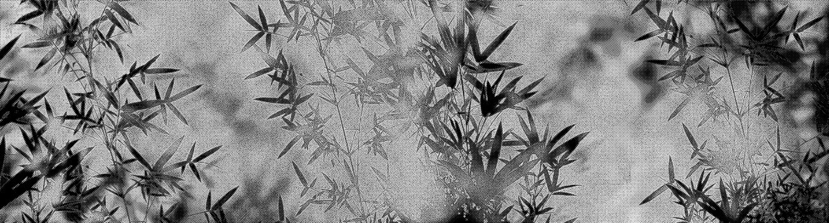 黑白竹林竹子肌理纹图案