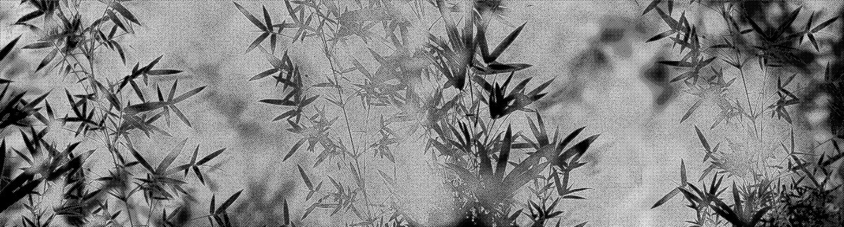 黑白竹林竹子肌理紋圖案