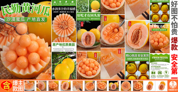 黃河蜜瓜民勤蜜瓜詳情頁(yè)主圖