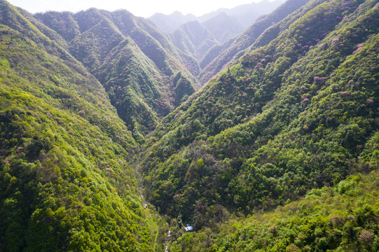 西寺沟春色