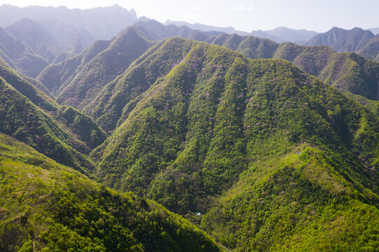 秦岭山春光