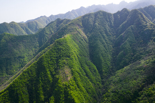 嫩绿秦岭