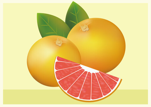 血橙包裝插畫