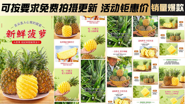 新鮮菠蘿詳情