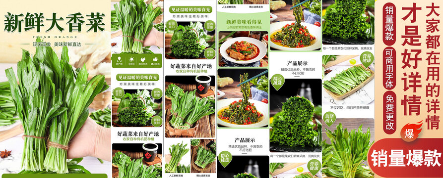 新鮮大香菜詳情頁