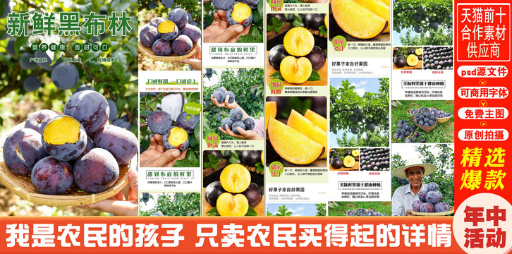 新鮮黑布林詳情