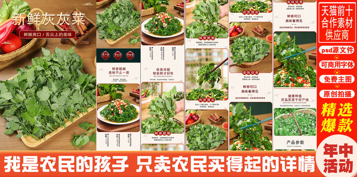 新鮮灰灰菜詳情頁