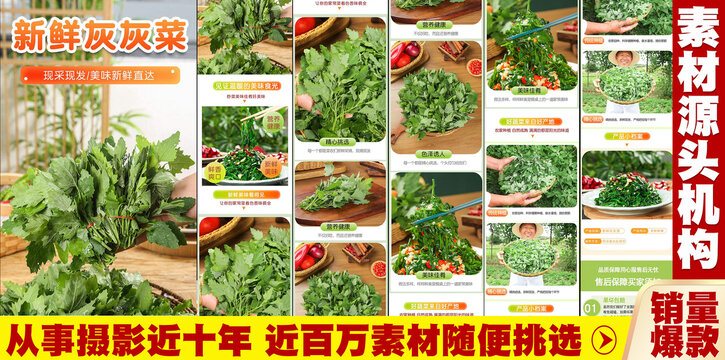 新鮮灰灰菜詳情頁(yè)