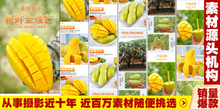 新鮮金煌芒詳情頁
