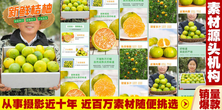 新鮮桔柚詳情頁