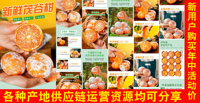 茂谷柑詳情