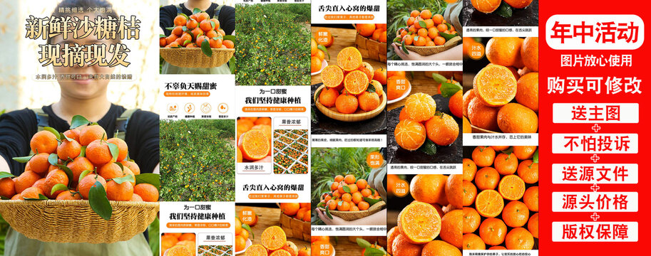 新鮮沙糖桔詳情