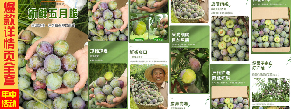 五月脆李子詳情頁(yè)