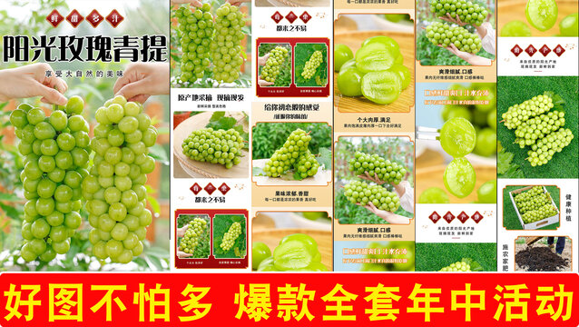 陽光玫瑰青提詳情頁