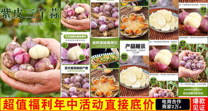 紫皮三丫蒜詳情頁