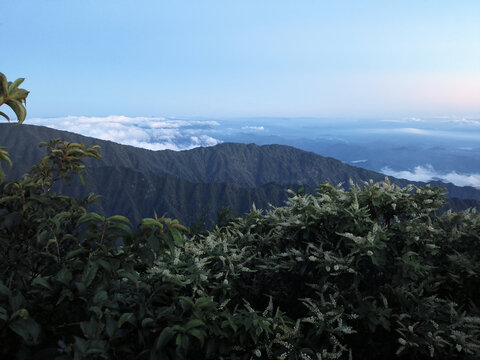 九宫山云海