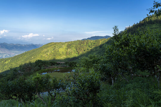 麻栗坡茶坪山