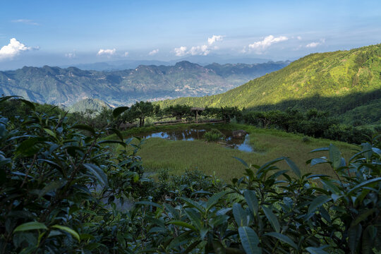 麻栗坡茶坪山