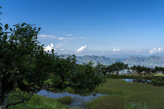 麻栗坡茶坪山