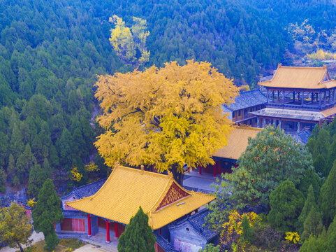 山东济南淌豆寺秋天航拍