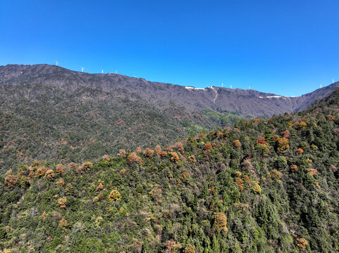 大山