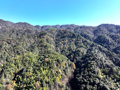 大山风景