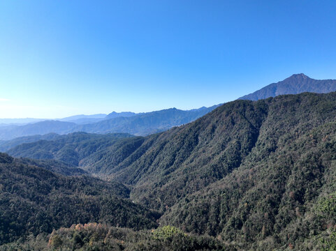 山景