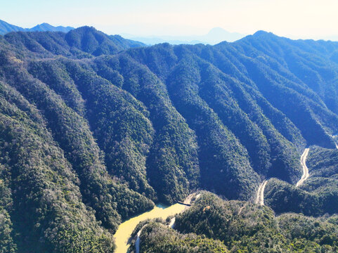 满目青山