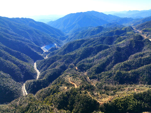 满目青山