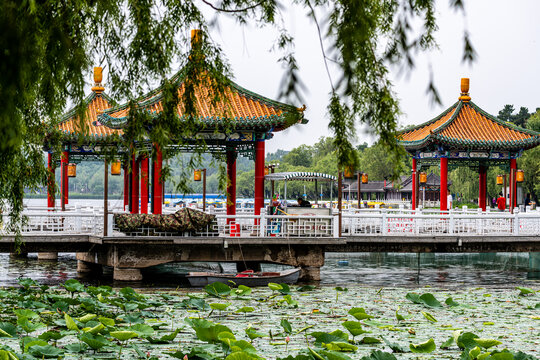 夏日里的中国长春南湖公园风景