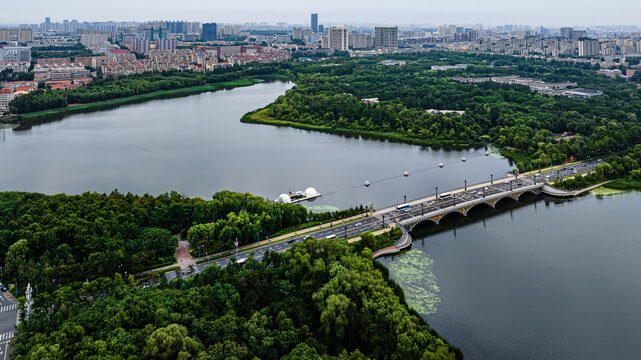 夏日里的中国长春南湖公园风景