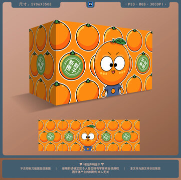 橙子水果包装设计