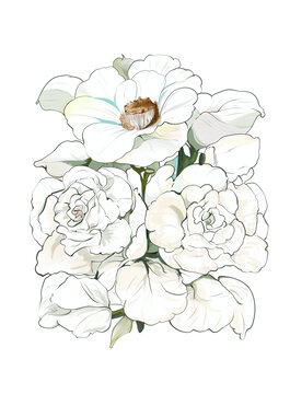 三朵白色花卉