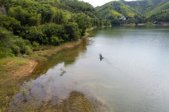 青山绿水牛栖息生态田园风光