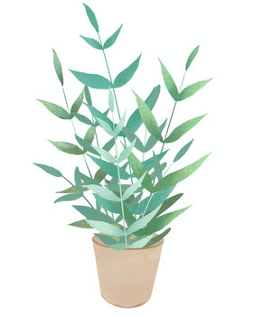 盆栽綠植