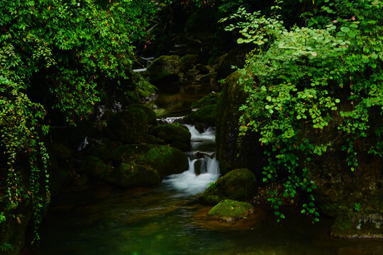 青城后山风光