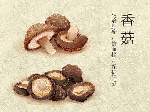 手绘水彩蔬菜香菇插画