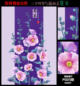 二十四节气夏至插画蜀葵