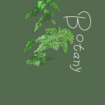 手繪草