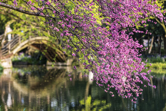 杭州茅家埠景区