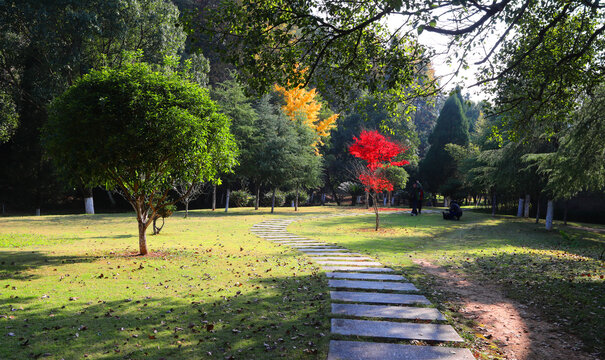 公园风景