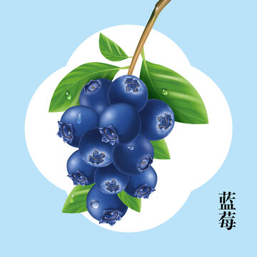 藍(lán)莓