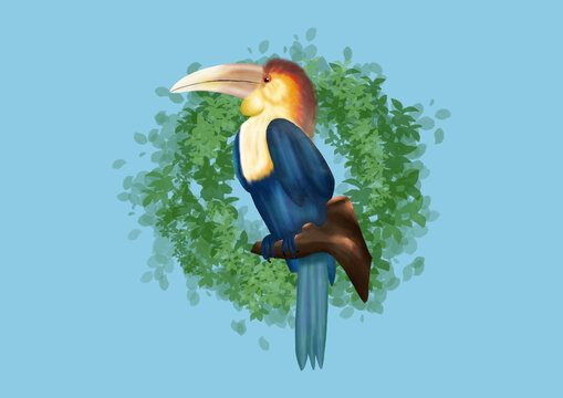 犀鳥