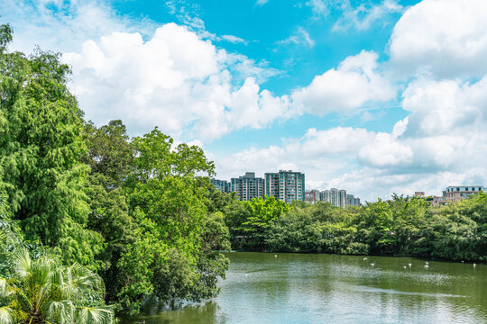 广州长隆天鹅湖