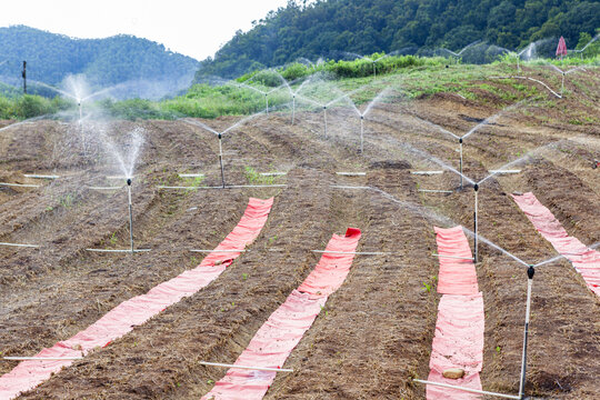 蔬菜种植基地喷灌系统