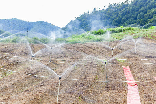 蔬菜种植基地喷灌系统